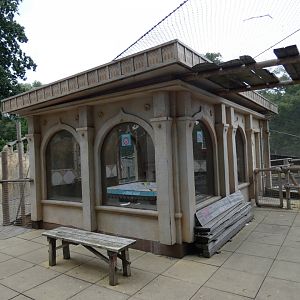 Hanuman langur house