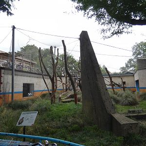 Hanuman langur outdoor enclosure (2)