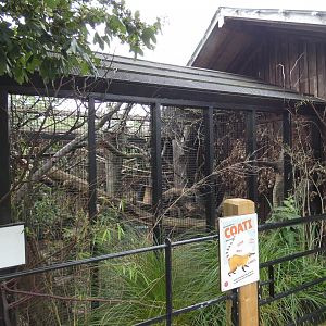 Coati enclosure in Children's Zoo