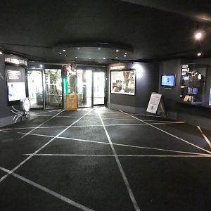 Meet the Spiders enclosure