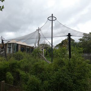 Sumatran tiger enclosure