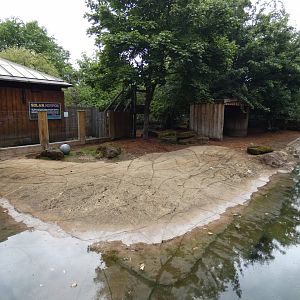 Pygmy hippo outdoor enclosure (2)