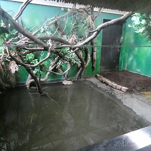 Pygmy hippo indoor enclosure