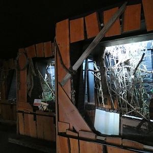 Lac Alatora gentle lemur enclosure