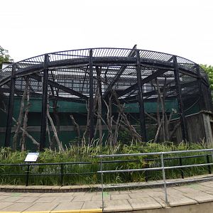 Tecton Gorilla House (now empty)