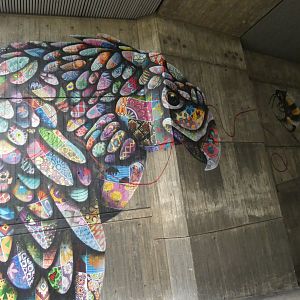 Philippine eagle mural