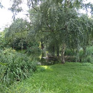 Flamingo and Pelican enclosure