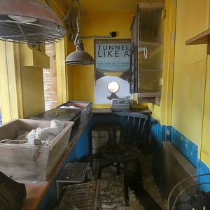 Dwarf mongoose indoor enclosure