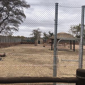 Former Brazilian Tapir Exhibit - Now home to Kangaroos