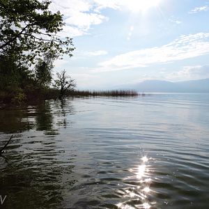 Grande Cariçaie [2015]