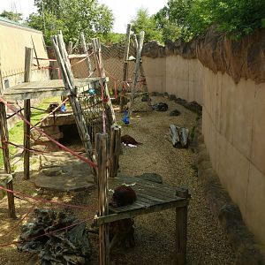 Bornean orangutan enclosure, August 2021