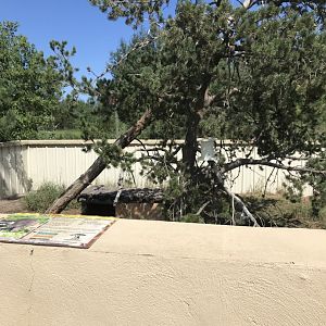 “North America”-raccoon exhibit
