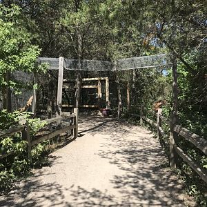 “North America”- gray squirrel exhibit