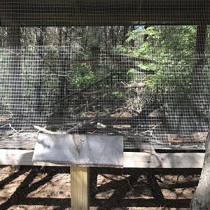 “North America”- empty exhibit