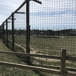 “North America” - Syrian brown bear exhibit