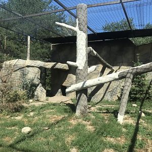 “North America”- snow leopard exhibit