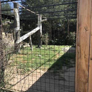 “North America”- snow leopard exhibit