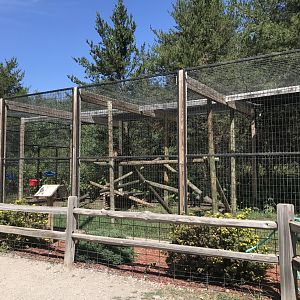 “North America”- black-handed spider monkey exhibit