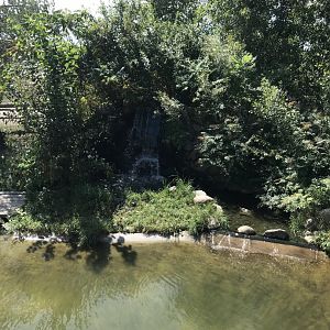 “North America”- American alligator exhibit