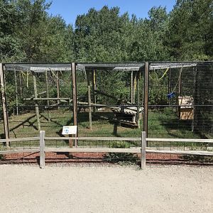 “North America”- white-handed gibbon exhibit