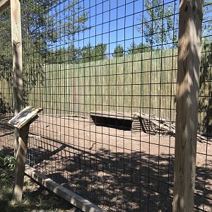 “North America”- coyote exhibit