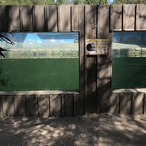 “North America”- North American river otter exhibit