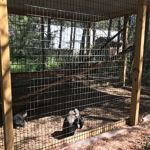 “North America”- lion-tailed macaque exhibit