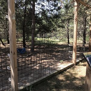 “North America”- sloth bear exhibit