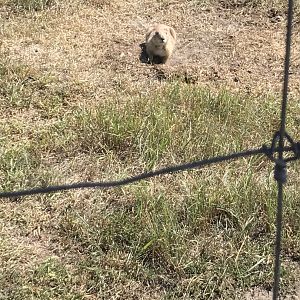 A very troubling sight