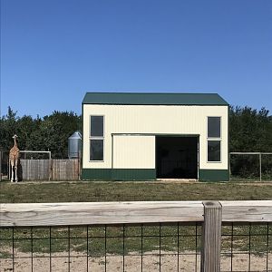 “Africa”- generic giraffe exhibit