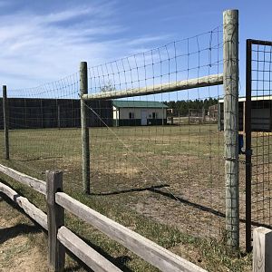 “Africa”- greater kudu exhibit