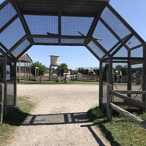 “Africa”- parakeet exhibit