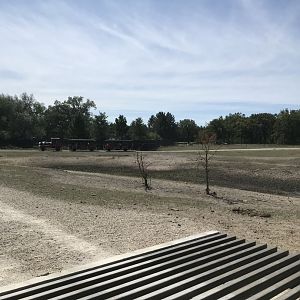 “Africa”- mixed-species savanna exhibit