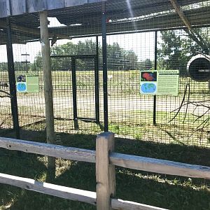 World of birds- African grey parrot/ grand eclectus parrot exhibit