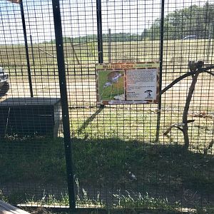 World of birds- red-legged seriema exhibit
