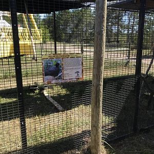 World of birds- helmeted currasow exhibit