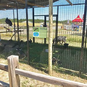World of birds- abdims stork exhibit