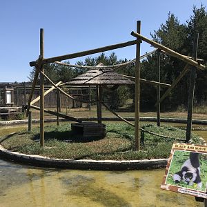 Primates- black & white ruffed lemur/red ruffed lemur exhibit