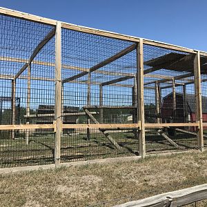 Primates- mandrill exhibit