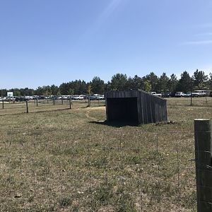 “South America”- lowland anoa exhibit