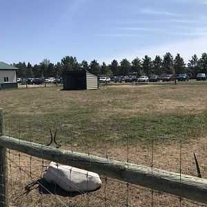 “South America”- addax exhibit