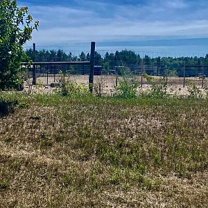 “North America”- domestic horse exhibit
