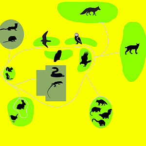 Florida Wildlife Conservation Center - Urban Area