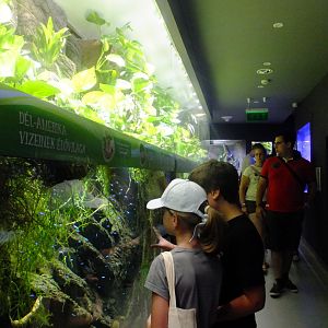 General view of the aquarium