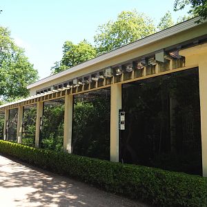 BIrd house - Block of smaller outdoor aviaries, 2021-07-17