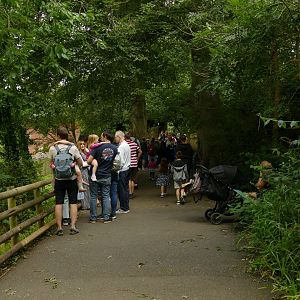 Queue for the Ape House, August 2021