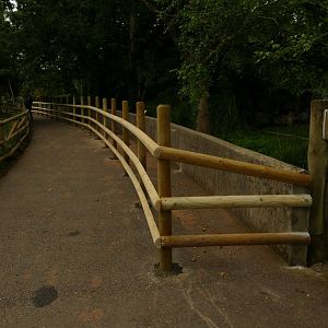 Black rhino enclosure, August 2021