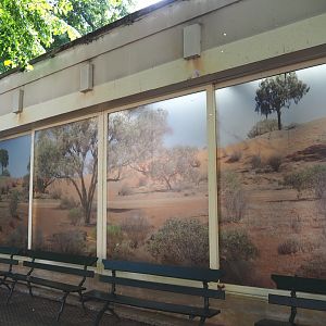 Bird house - Outside of new estrildid finch aviary with new landscape window graphic, 2021-07-17