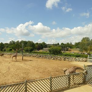 Kingdom of the Wild and Elephant Kingdom, August 2021