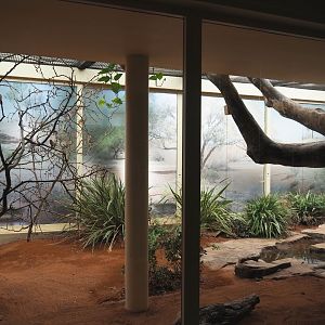 Bird house - New Estrildid finch aviary (Former Mexican military macaw indoor aviary), 2021-07-17